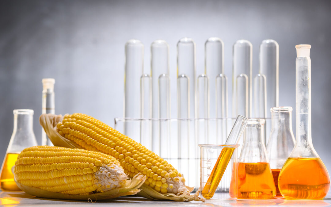 The Truth About High Fructose Corn Syrup